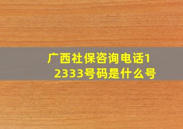 广西社保咨询电话12333号码是什么号