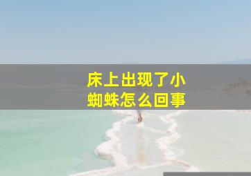 床上出现了小蜘蛛怎么回事