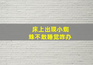 床上出现小蜘蛛不敢睡觉咋办