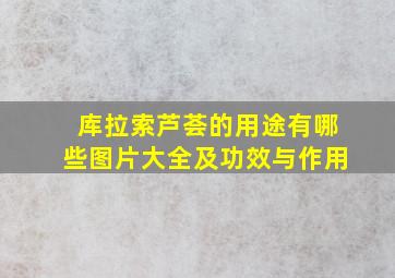 库拉索芦荟的用途有哪些图片大全及功效与作用