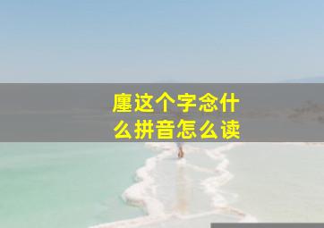 廛这个字念什么拼音怎么读