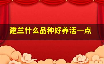 建兰什么品种好养活一点