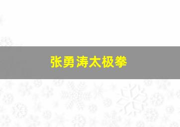 张勇涛太极拳