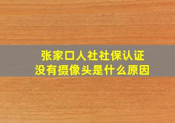 张家口人社社保认证没有摄像头是什么原因