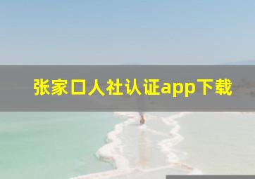 张家口人社认证app下载