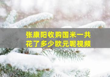 张康阳收购国米一共花了多少欧元呢视频