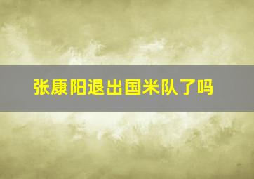 张康阳退出国米队了吗