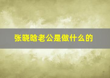 张晓晗老公是做什么的