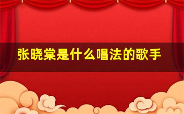 张晓棠是什么唱法的歌手