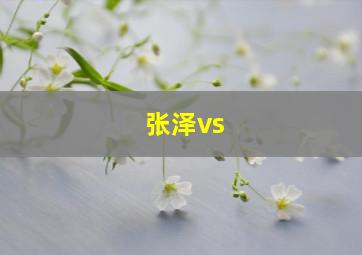 张泽vs