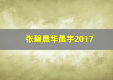 张碧晨华晨宇2017