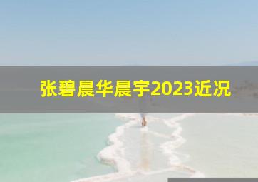 张碧晨华晨宇2023近况