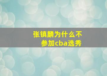 张镇麟为什么不参加cba选秀