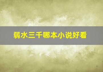 弱水三千哪本小说好看