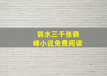 弱水三千张晓峰小说免费阅读