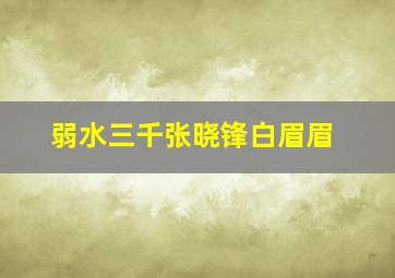 弱水三千张晓锋白眉眉