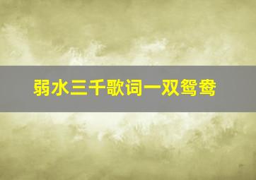 弱水三千歌词一双鸳鸯