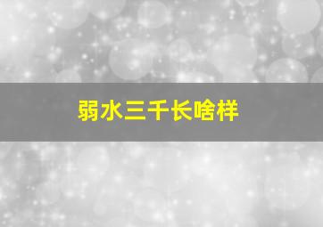 弱水三千长啥样