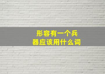 形容有一个兵器应该用什么词