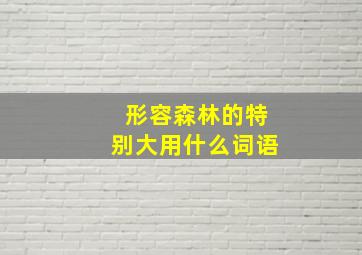 形容森林的特别大用什么词语