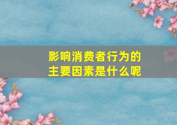 影响消费者行为的主要因素是什么呢