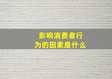 影响消费者行为的因素是什么