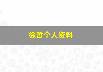 徐哲个人资料