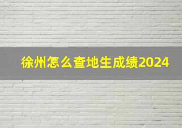 徐州怎么查地生成绩2024