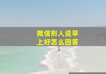 微信别人说早上好怎么回答