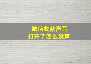 微信收款声音打开了怎么没声