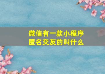 微信有一款小程序匿名交友的叫什么