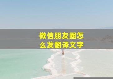 微信朋友圈怎么发翻译文字