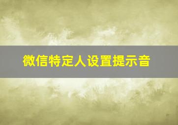 微信特定人设置提示音