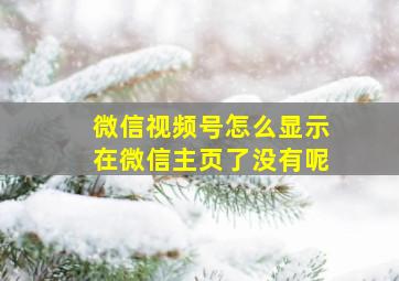 微信视频号怎么显示在微信主页了没有呢