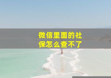 微信里面的社保怎么查不了