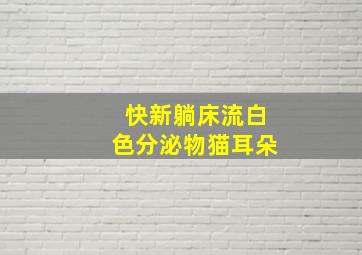 快新躺床流白色分泌物猫耳朵