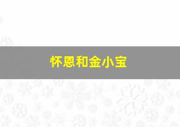 怀恩和金小宝