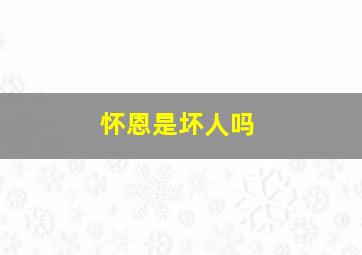 怀恩是坏人吗