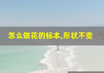 怎么做花的标本,形状不变