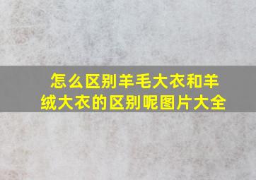 怎么区别羊毛大衣和羊绒大衣的区别呢图片大全