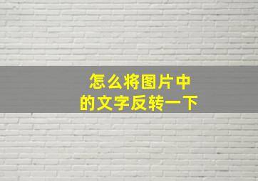 怎么将图片中的文字反转一下