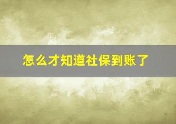 怎么才知道社保到账了