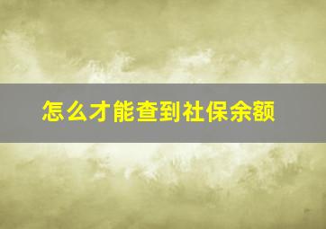 怎么才能查到社保余额