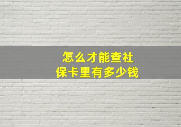 怎么才能查社保卡里有多少钱