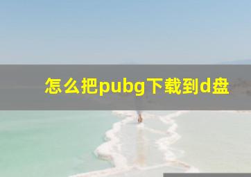 怎么把pubg下载到d盘