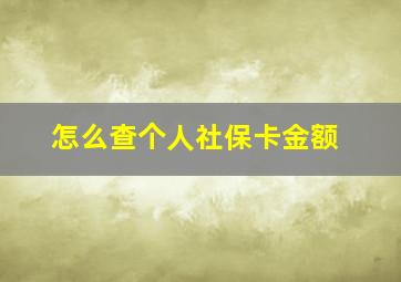 怎么查个人社保卡金额