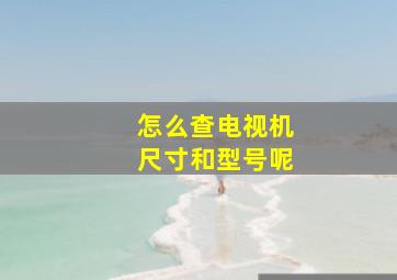 怎么查电视机尺寸和型号呢