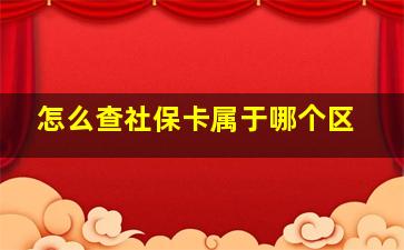 怎么查社保卡属于哪个区