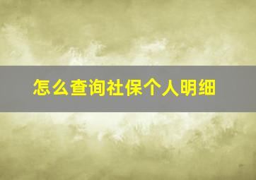 怎么查询社保个人明细