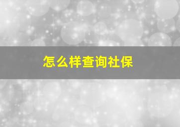 怎么样查询社保